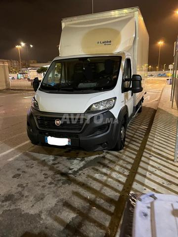 Fiat Ducato 3,5 L-H2 2,3L 160 cv - Hayon - 2