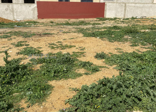 Lot de Terrain 200m Zone Villa