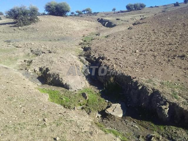 أرض للبيع 15.5 هكتار - زاوية الشيخ - 2