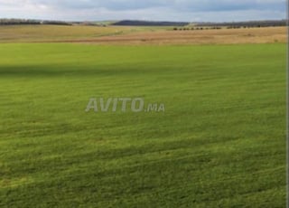 TERRAIN AGRICOL DE 10 Hectares en Vente