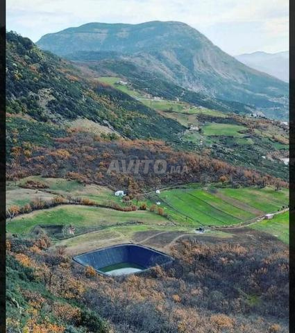 كتامة اساكن