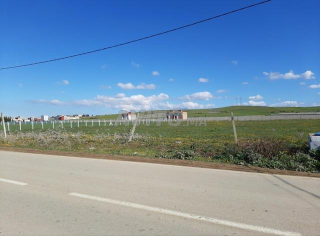 أرض 60 m² للبيع منطقة كوارت مشاهلة (عوامة)