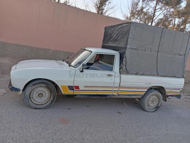 Peugeot 504 Diesel Manuelle 1992 à Ait Amira