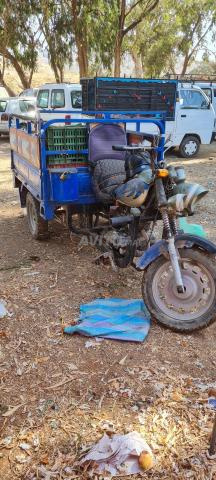 Triporter dyal lkhadma w t9al lmotor ba9i n9i