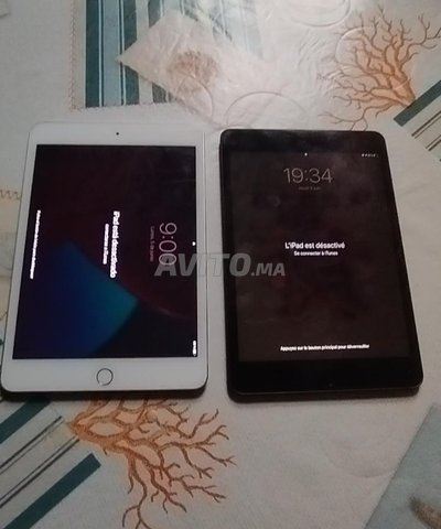 iPad mini 5 64GB icloud 