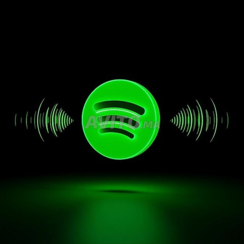 spotify Premium app 12 mois