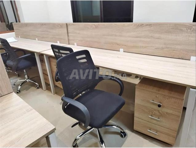 les marguerites multiplace en gross - 2