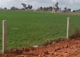 أرض تيتر للبيع مابين أزمور الجديدة 4 خدامة وربع👇