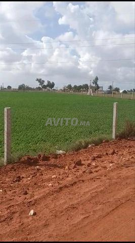 أرض تيتر للبيع مابين أزمور الجديدة 4 خدامة وربع👇