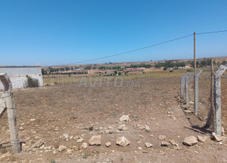 بقعة للبيع 3 هكتار