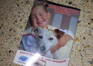 كلب مالنا لبغاه راه بوراقو