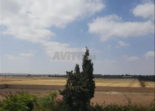 Terrain a vendre zone bâtiment 