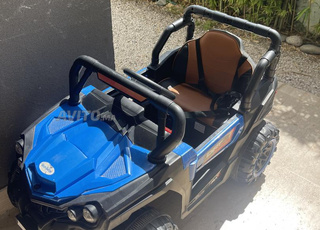 lot 2 voiture et moto electrique 