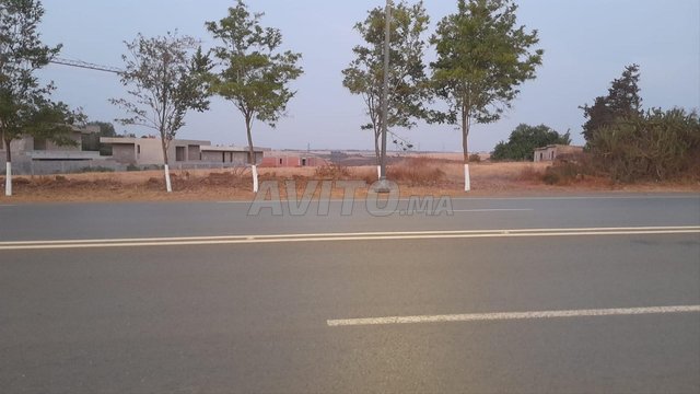 Terrain titré 1 hectare à vendre Zone villas Bd M6