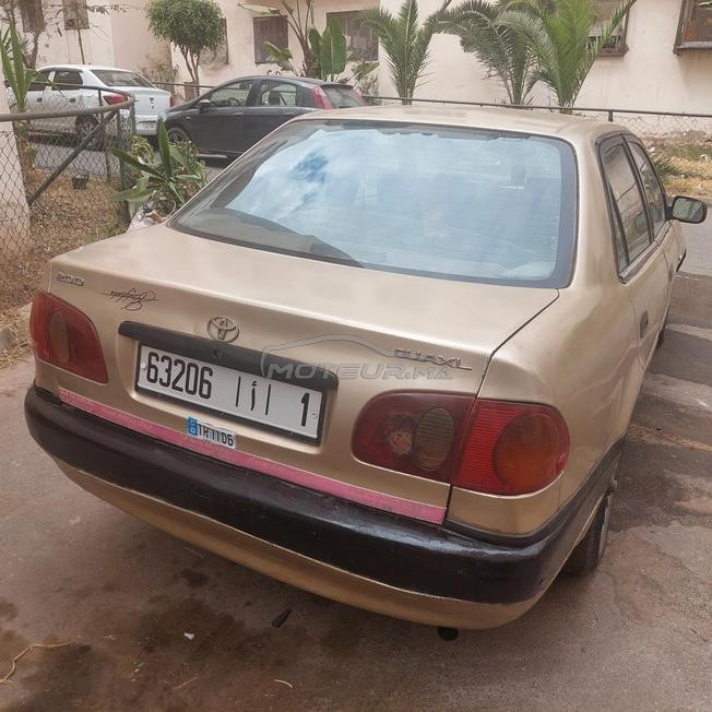 Toyota corolla Doré