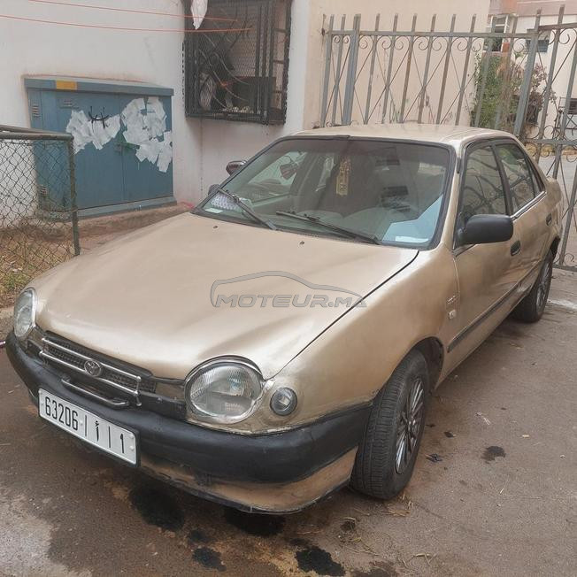 Toyota corolla Doré
