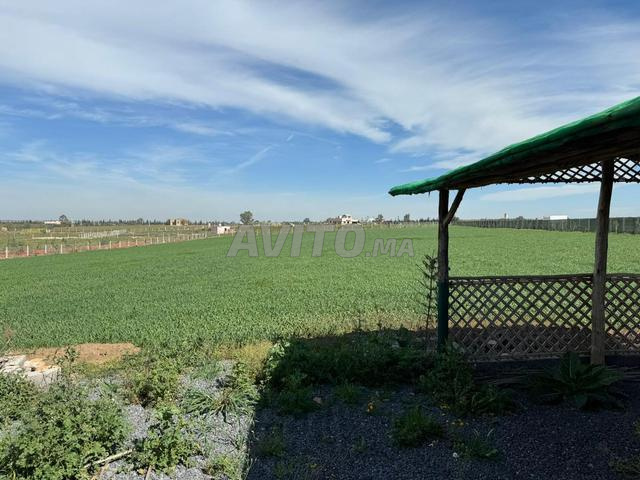 Ribaa Terrain nu titré 12000 m2 vue Lac