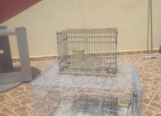 Je met en vente deux cage pour oiseaux domicile 
