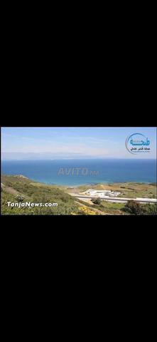 Terrain panoramique zone Villa à Zraraa