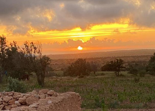 terrain à vendre 2000 m² à Akermoud