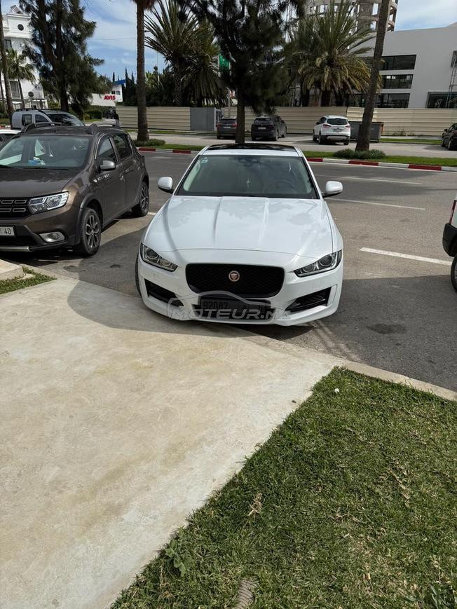 Jaguar XE sport 