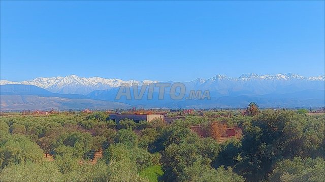 Villa de campagne 4200 m² Titrée olivier productif