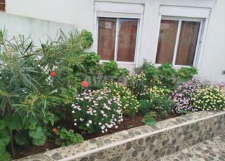 Maisons et Villas à louer à Oualidia