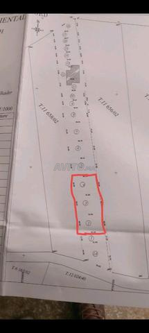أرض فلاحية بركان - أرض فلاحية بمنطقة بركان - 2
