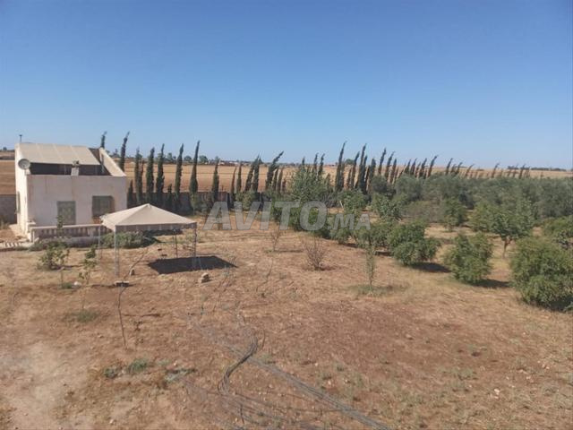 Ferme titrée et équipée à vendre  - 2