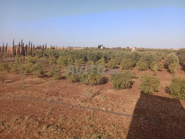 Ferme titrée et équipée à vendre 