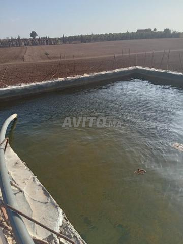 Ferme équipée et titrée à vendre  - 2