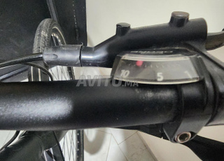 Vélo GUDEREIT 30 vitesses - Allemagne