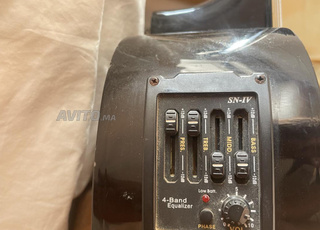 Guitar Electroacoustic