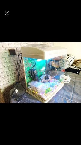 Aquarium original avec ses accesoirs exelt etat