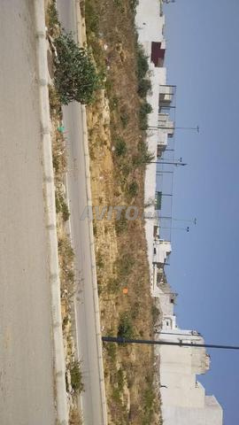 Terrain tamouda 3 - 2