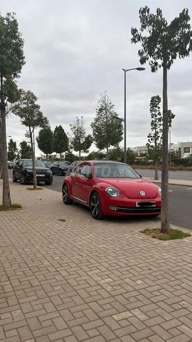  Coccinelle 2020 toutes options 