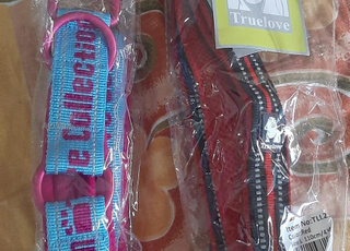 حزام للكلاب