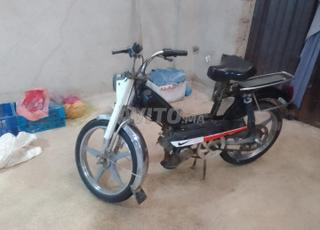 son trwa mazala n9iya