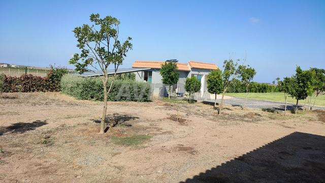 Belle Ferme avec Top Villa 1ha537m2 Benslimane. - 2