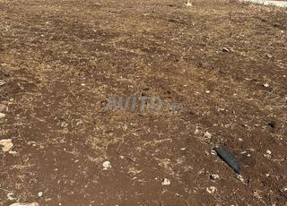 أرض للبيع محفظة بجماعة أولاد رحمون 