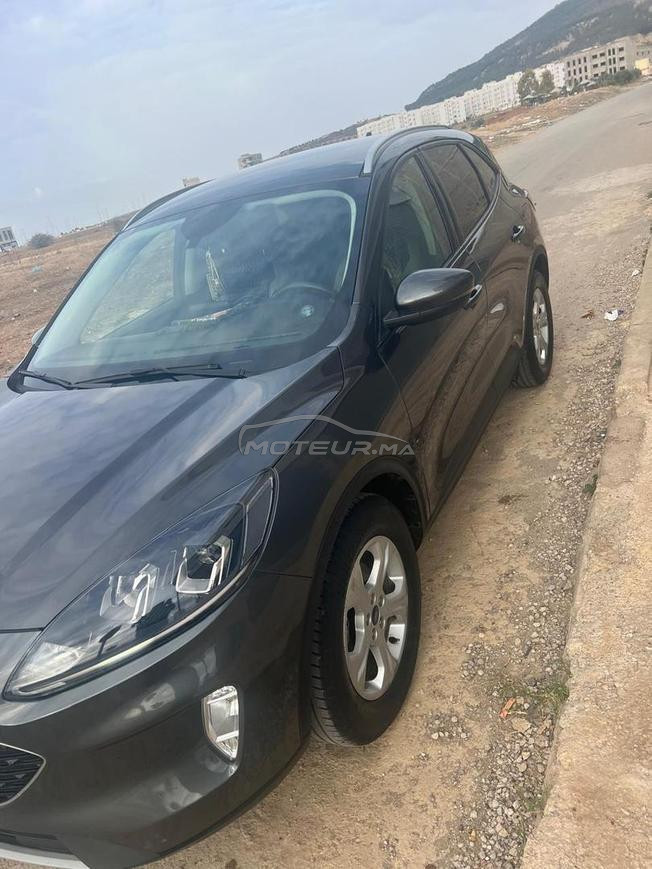 فاس المدينة 