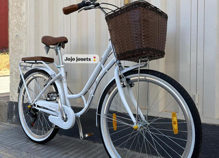 VÉLO MADAME CLASSIQUE HAOMENG 26 POUCES