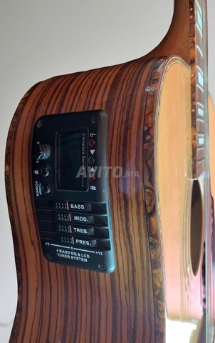 Guitare électro-acoustique Martinez W-124 BC/N