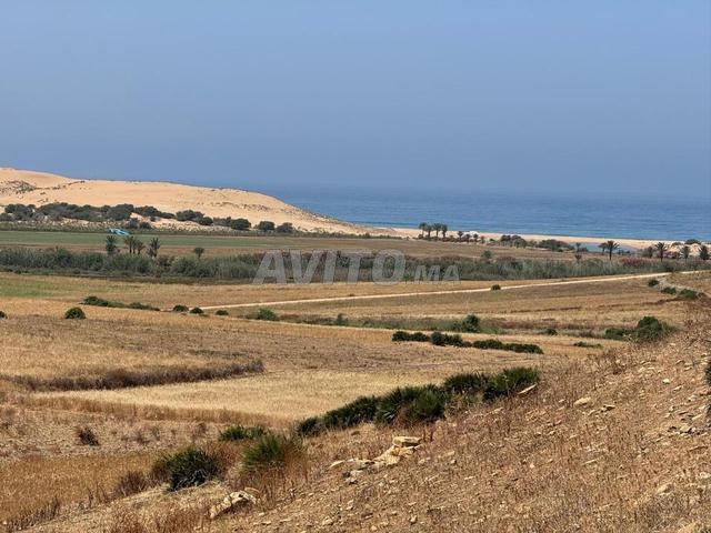 Terrain à Vendre Touristique Asilah Proche de بول هرميس