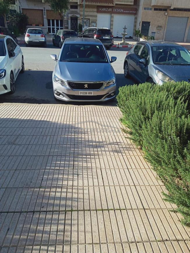 Peugeot 301