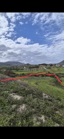 🏡 Terrain à vendre à Ksar Sghir - Zone Farsioua 🏞️