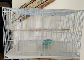 تطوان سفير نيمروا لعطيكم ديال واتساب