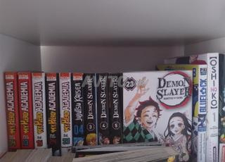 Mangas et romans