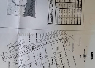 Terrain de villa à vendre 