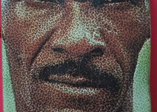 رواية . Alan Paton Pleure, ô pays bien aimé 